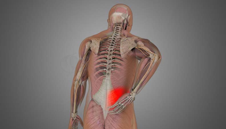 Clinical Illustration